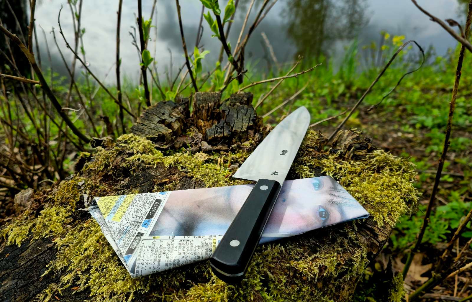 Japoniška elegancija virtuvėje – vienpusio galandimo restauruotas peilis - Image 2