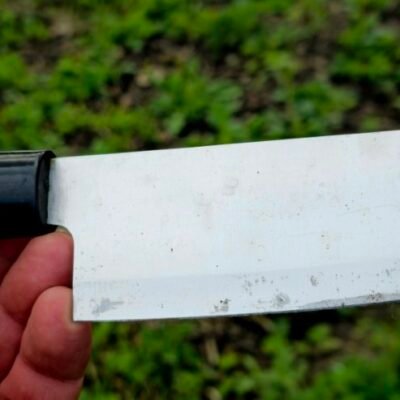 Japoniškas virtuvės peilis „Nakamura Kōmei“