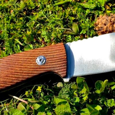 LionSteel – tikslus ir patikimas įrankis profesionalui